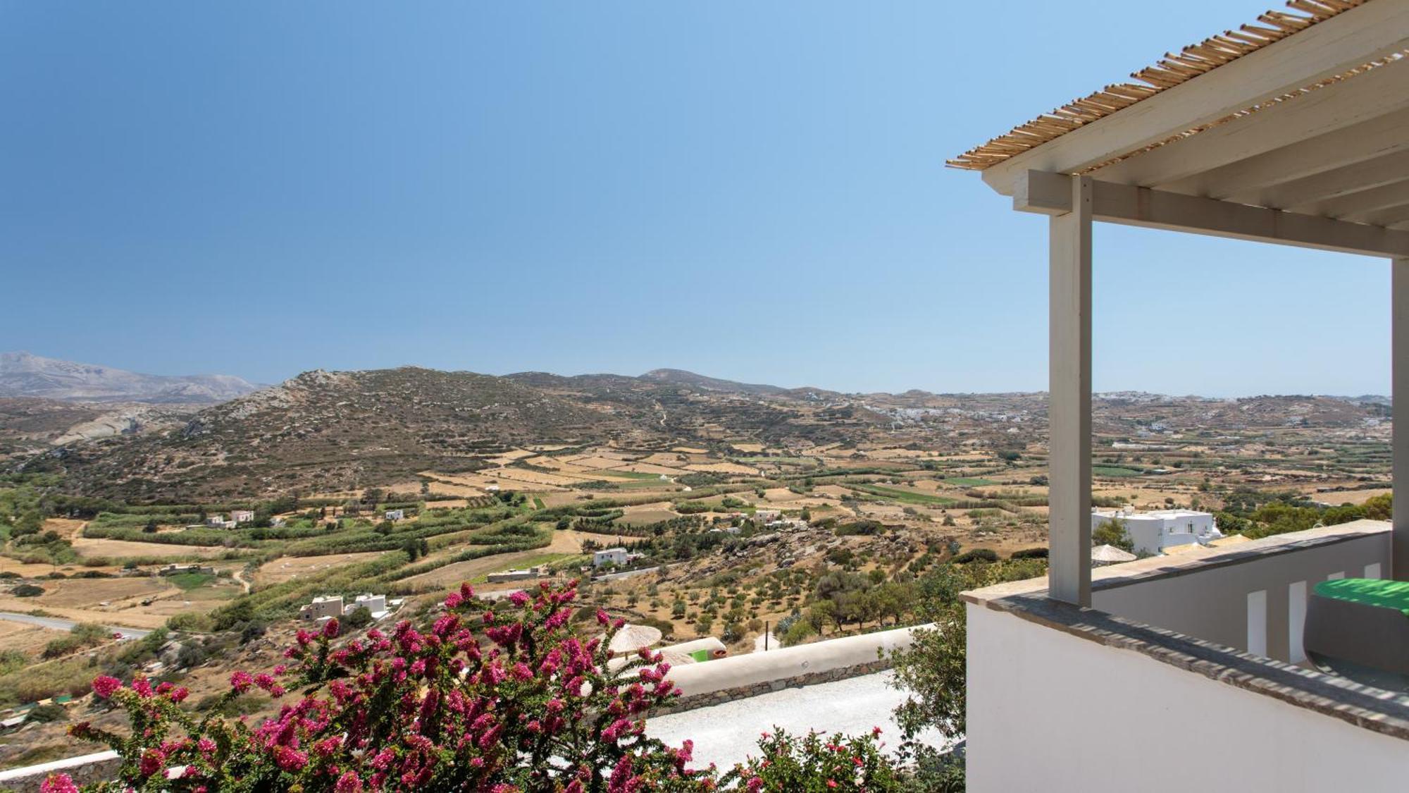 Appart hôtel Halcyon And Naxos Agios Thaleleos